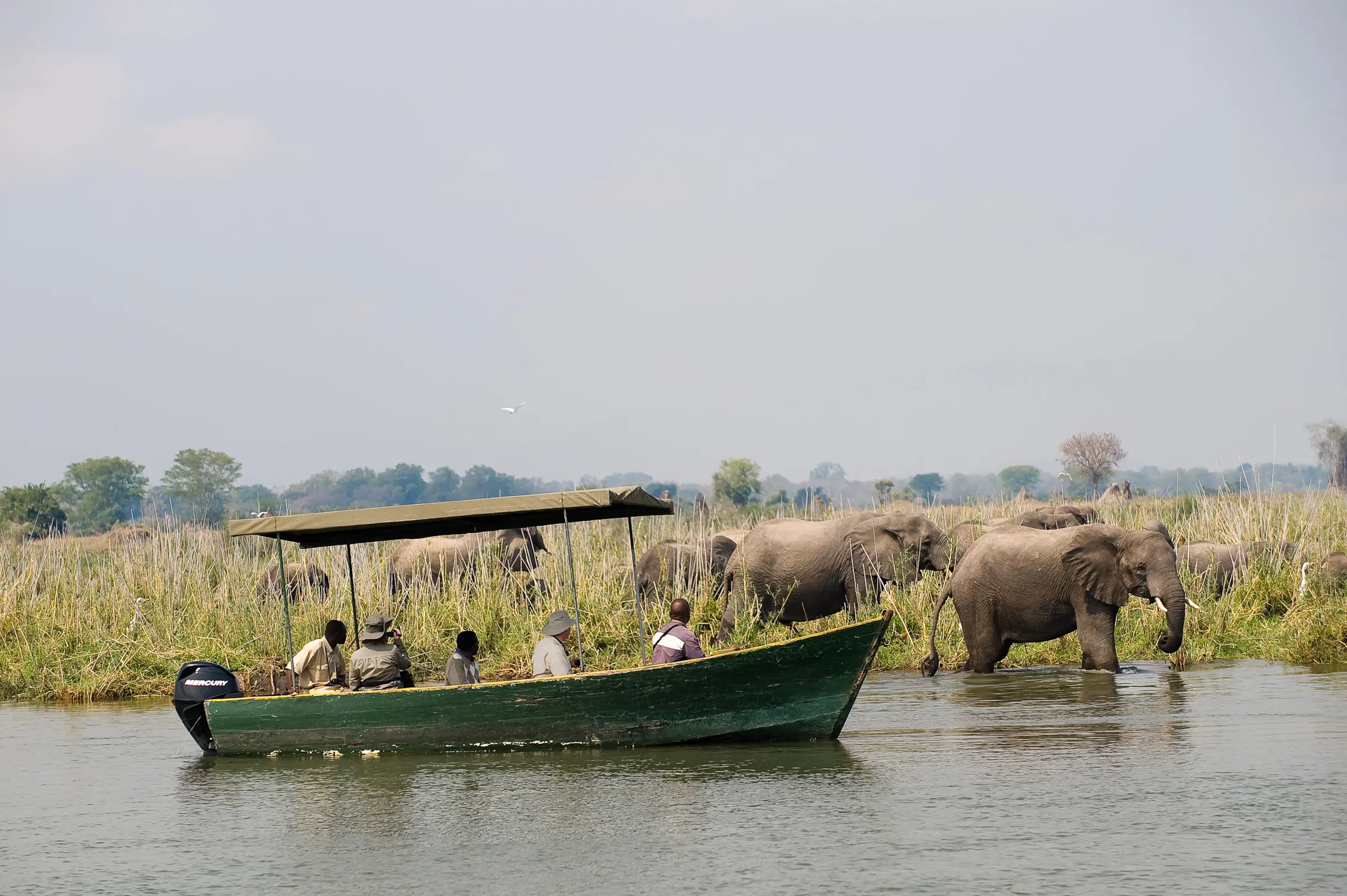 Malawi – Mvuu Camp